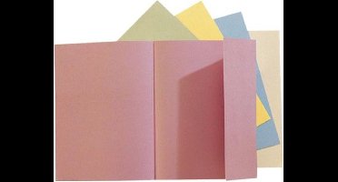 Dossiermap Exacompta Super 160gr 1klep Assorti