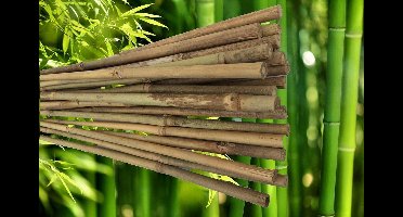 25 Bamboestokken á 150cm met Ø 16-18mm - Tonkinstokken