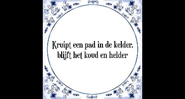 Tegeltje met Spreuk (Tegeltjeswijsheid): Kruipt een pad in de kelder, blijft het koud en helder + Kado verpakking & Plakhanger