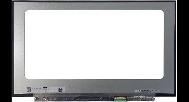 LCD Scherm geschikt voor Medion Erazer Beast X30 (240Hz)