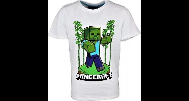 Minecraft t-shirt korte mouw - maat 152 - 12 jaar