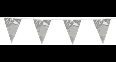 6x Vlaggenlijn Metallic Zilver 10 meter - Verjaardag Feest Party Festival Poolparty Decoratie