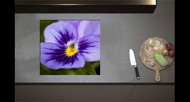 Inductieplaat Beschermer - Close Up van Paars Viooltje met Fel Geel Midden - Bloemen - 57x52 cm - 2 mm Dik - Inductie Beschermer - Bescherming Inductiekookplaat - Kookplaat Beschermer van Wit Vinyl