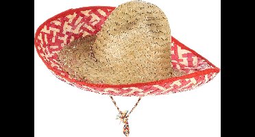 Vegaoo - Mexicaanse sombrero hoed voor volwassenen