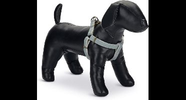 Designed by Lotte Virante - Hondentuig - Mint - 60-100 cm