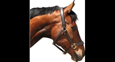 Kerbl Lederen Halster Zwart Full-size