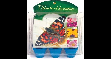 Buzzy - Vlinderbloemen - Kweekset - moederdag
