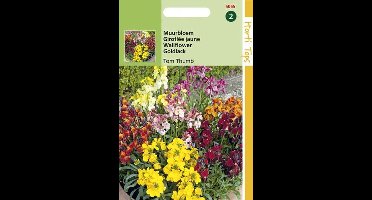 Hortitops Zaden - Cheiranthus Cheirii Tom Thumb Gemengd