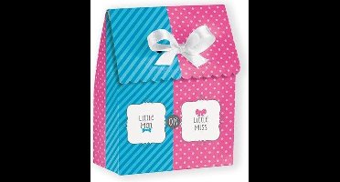 Uitdeelzakjes Gender Reveal Party