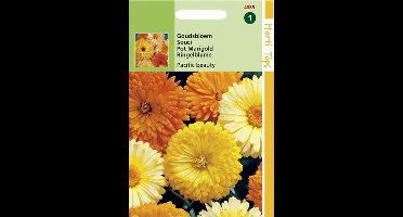 Hortitops Zaden - Calendula off. Pacific Beauty gemengd