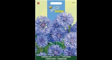 Korenbloem Blue Ball dubbelbloemig - Centaurea cyanus