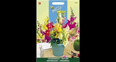 Leeuwenbekje halfhoog gemengd - Antirrhinum majus nanum