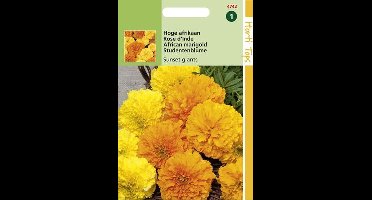 Hortitops Zaden - Tagetes Erecta Sunset Giants Gem.
