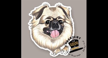 Magneet Hond Tibetaanse Spaniel