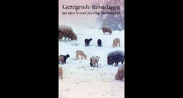 Dubbele Religieuze Kerstkaarten 5 - 6 stuks