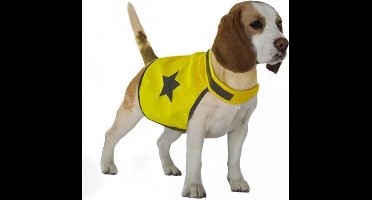 Veiligheidsjasje Fluo