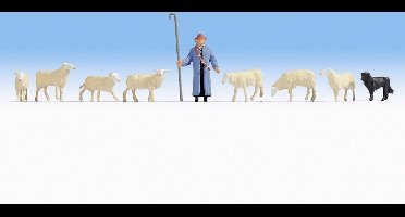 Schapen, herder & schaapshond