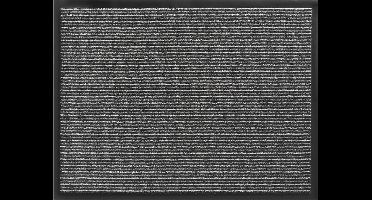 Deurmat schoonloopmat Scala 40 x 60 cm Antraciet