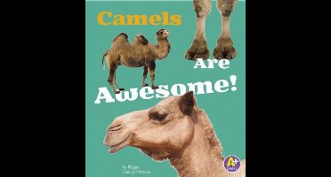 Camels are Awesome (Awesome Asian Animals)