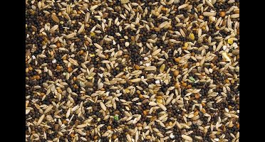 Garvo kanarie zoet - 1kg