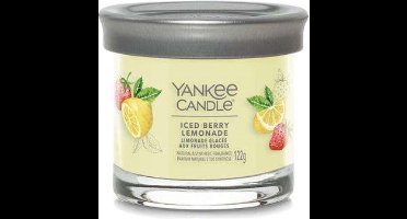 YC Iced Berry Lemonade Signature Small Tumbler