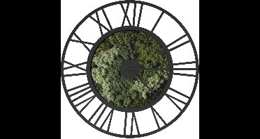 TLF Interieurs Mos Klok Large Zwart