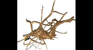 HS Aqua Spider Wood L - 41/50 CM - Nummer 11