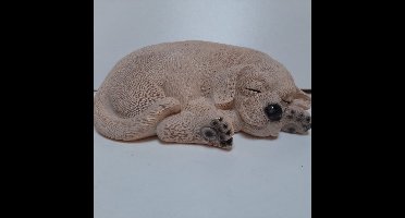 Beeldje blonde Labrador puppy liggend 20 cm breed