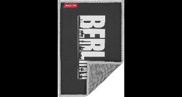 Speedlink, SILK Cleaning Cloth (Berlin)