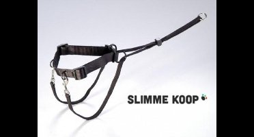 Auto gordel tuig - XL