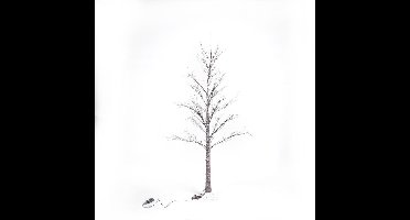 Lumineo - Besneeuwde lichtboom voor binnen en buiten - LED - H 180cm