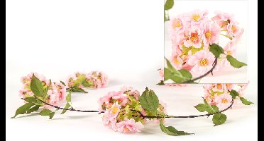 Prunus kunstbloemen kunsttak / String - Roze - 180 cm