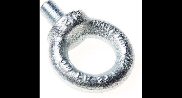 Kelfort Oogbout verzinkt C15 m10