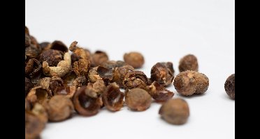 Wasnoten of zeepnoten 10 kilo (2000x wassen) plasticvrij en los verpakt in een doos - natuurlijk kledingwasmiddel en vaatwasmiddel