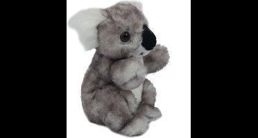 Koala 16 cm