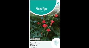 Hortitops Zaden - Kardinaalswinde Rood (Ipomoea quamoclit)