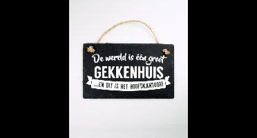 Leisteen - De wereld gekkenhuis