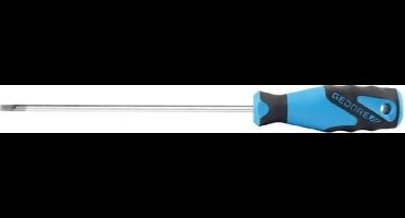 Gedore Schroevendraaier 10 x 200 mm