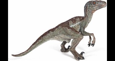 Velociraptor - Dinosaurus