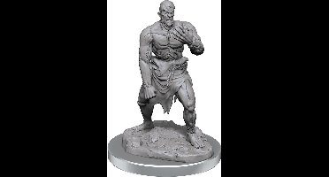 D&D Nolzur's Marvelous Miniatures Flesh Golems 2