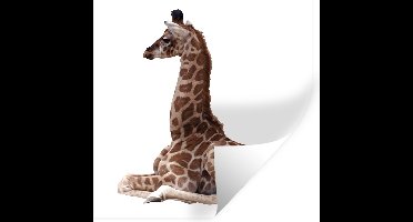 Muurstickers - Sticker Folie - Baby giraffe voor een witte achtergrond - 30x30 cm - Plakfolie - Muurstickers Kinderkamer - Zelfklevend Behang - Zelfklevend behangpapier - Stickerfolie
