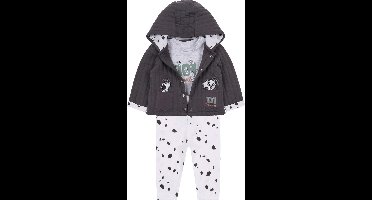 101 Dalmatiërs DISNEY - Grijze baby kledingset / 74