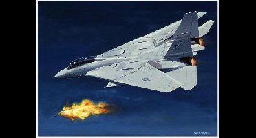 Thijs Postma - TP Aviation Art - Poster - Grumman F-14 Tomcat Schiet MiG-23 Neer - 50x70cm