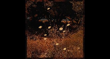 Szun Waves - Earth Patterns (LP)