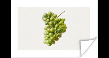 Poster Eten - Druiven - Fruit - 30x20 cm