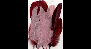 Veertjes Wijnkleuren 15 stuks 12.5 - 17.5 cm