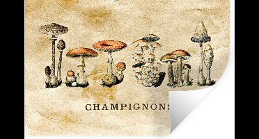 Muurstickers - Sticker Folie - Paddenstoel - Herfst - Vintage - 30x20 cm - Plakfolie - Muurstickers Kinderkamer - Zelfklevend Behang - Zelfklevend behangpapier - Stickerfolie