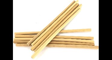 Rietjes bamboe 20cm 10 stuks in doosje