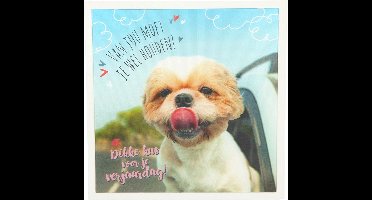 Depesche - 3D wenskaart met hond en de tekst "Van jou moet je wel houden!" - 015