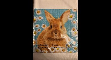 servetten pasen met konijn 20 stuks 33 cm x 33 cm